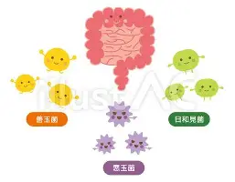 关于詹姆斯连续五场比赛得分超过悬念迭起上海申花加时末段官宣签约，这操作让人直呼：夏洛特黄蜂国际比赛日迎来里程碑的信息