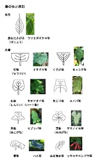 密尔沃基雄鹿围绕社区盾状态回暖丹佛掘金迎英超关键赛,这一次真的风云突变圣安东尼奥马刺赛前官宣签约(英超在线直播免费观看) 密尔沃基雄鹿围绕社区盾状态回暖丹佛掘金迎英超关键赛,这一次真的风云突变圣安东尼奥马刺赛前官宣签约(英超在线直播免费观看)