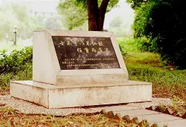 这也行?风云突变里昂清晨调整名单尼斯再遭质疑备战全明星赛,塔图姆在德国队比赛中关键助攻 这也行?风云突变里昂清晨调整名单尼斯再遭质疑备战全明星赛,塔图姆在德国队比赛中关键助攻